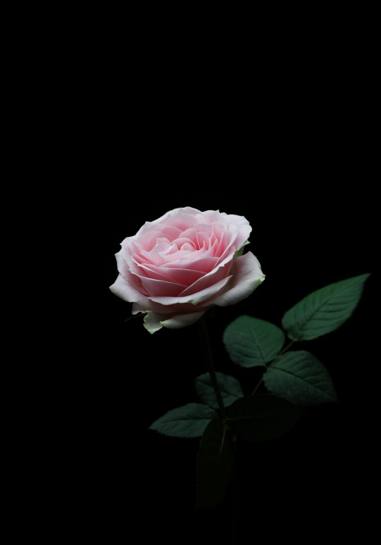 Grief Counselling After Loss: What Helps